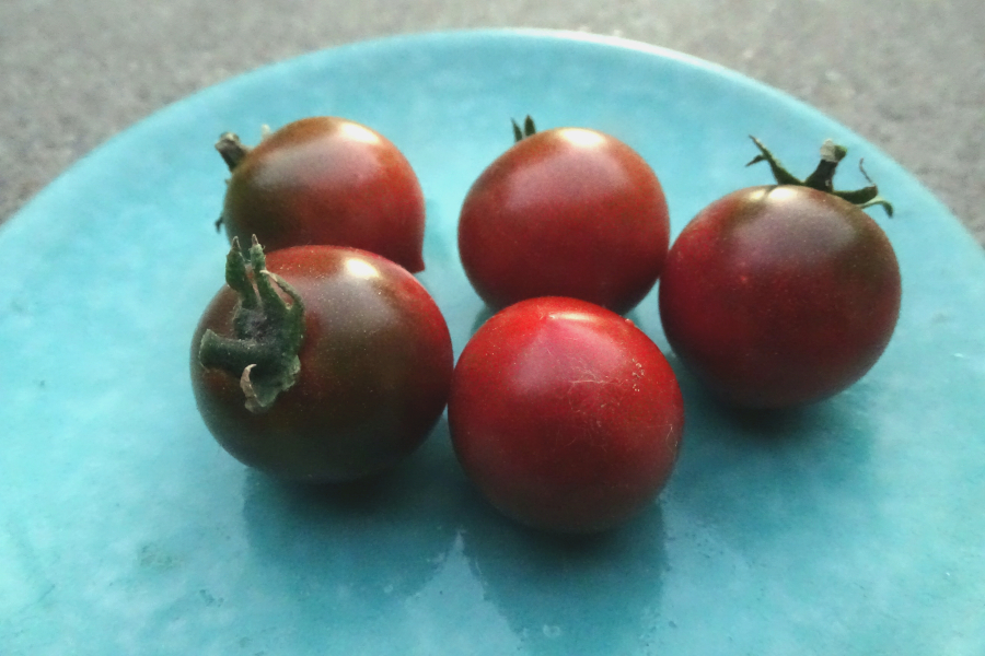 Garden Olive grape tomato